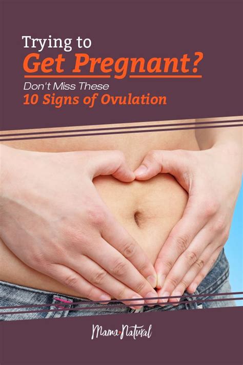 Pin On Pregnancy