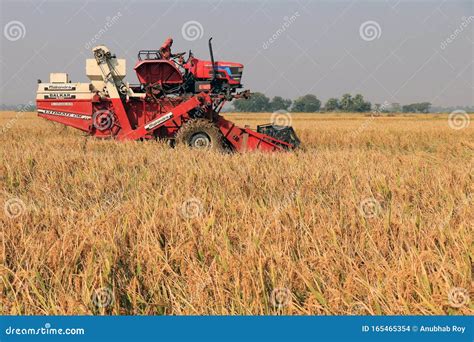 Rice Cutting Machine In The Paddy Field Editorial Stock Image Image