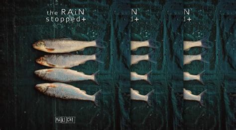 Makichi Presenta Su Nuevo Álbum The Rain Stopped