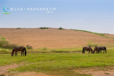 银川：塞上江南 寻找消失的西夏文明 银川旅游攻略 游记 去哪儿攻略