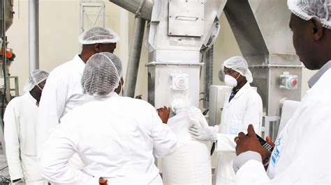 Rwanda To Inject Us 1 8m In Revamp Of Kinazi Cassava Processing Plant To Boost Production Food