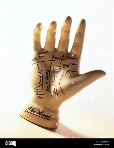 Palmistry Hand Hi Res Stock Photography And Images Alamy