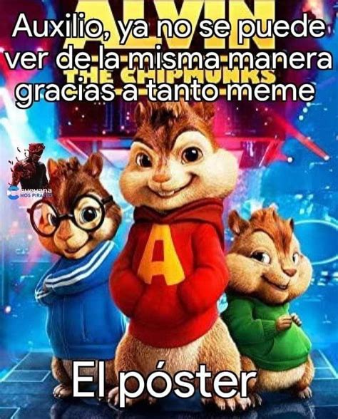 Pin De Leidy En Xd En 2024 Imágenes Graciosas Memes Divertidos