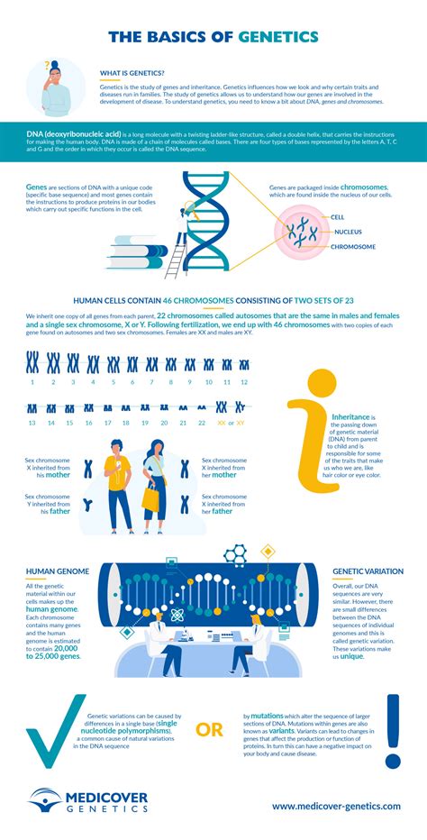 Basics of Genetics | Medicover Genetics