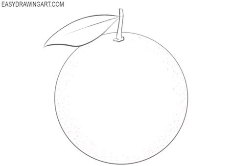 How To Draw An Orange Easy Drawing Art