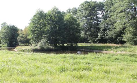 Jäger Landwirte Und Naturschützer Gemeinsam Für Bedrohte Tierarten