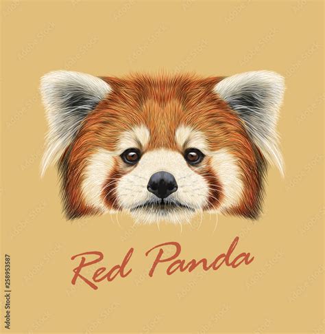 Funny Red Panda