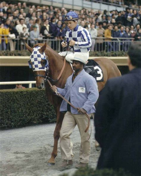 Secretariat Belmont Stakes Winner Horse 8x10 Photo 016 Ebay