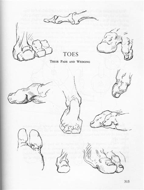 George Bridgman Bridgman Anatomy Tutorial Drawings