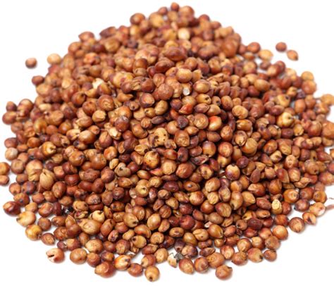 Bulk Organic Red Sorghum (Milo) Grain