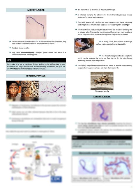 SOLUTION MT110 CLINICAL PARASITOLOGY Blood And Tissue Nematodes