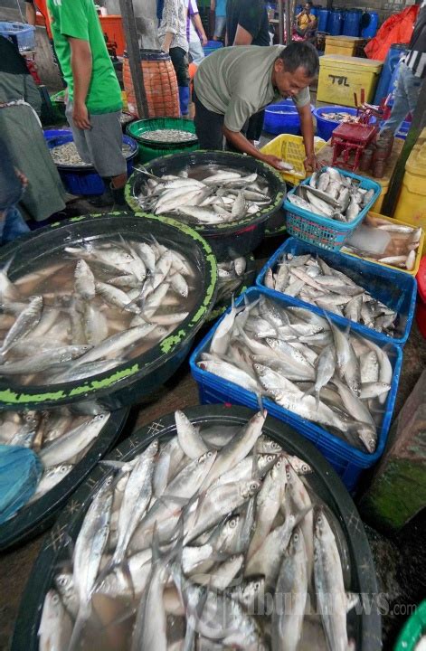 Akibat Cuaca Buruk Pasokan Ikan Di Pasar Kobong Menurun Foto