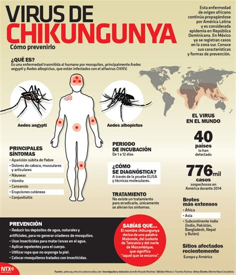 Quanto Tempo Dura A Sequela Da Chikungunya - Ya está aquí el virus Chikungunya: ¿conoces los síntomas? (INFOGRAFÍA)