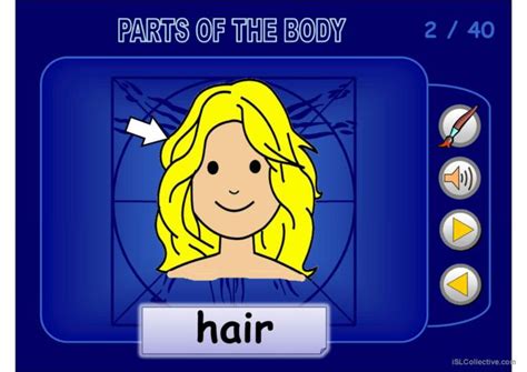 Body Parts Ppt Pictionary Picture D English Esl Powerpoints