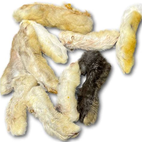 Rabbit Ear Dog Treats Perfect For Dogs With Allergies