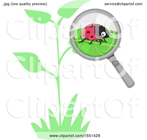 Clipart Of A Magnifying Glass Focused On A Ladybug On A Leaf Royalty Free Vector Illustration