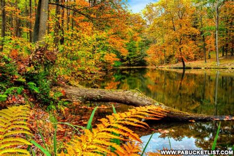 20 Fabulous Fall Foliage Destinations in the Laurel Highlands of PA