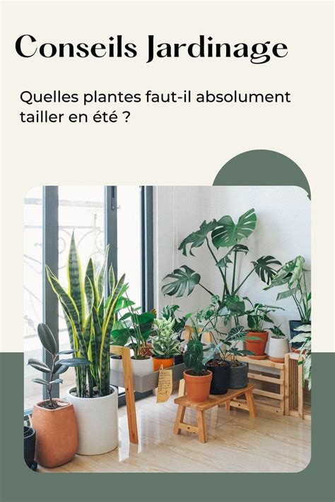 Quelles Plantes Faut Il Absolument Tailler Cet T Plants Garden