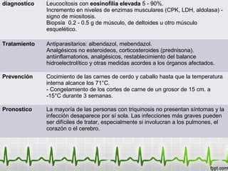 Trichinella Spiralis Ppt