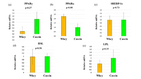 Relative Mrna Levels A Ppar B Ppar C Srebp C D Hls And