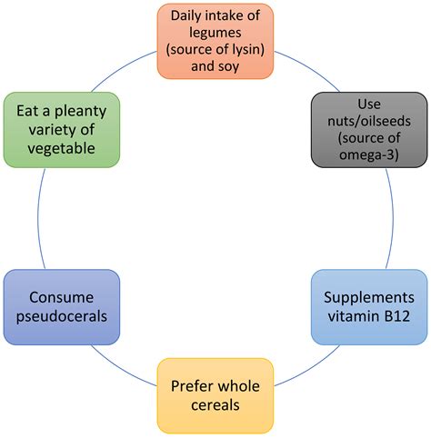JCM | Free Full-Text | The Role of Plant-Based Diets in Preventing and