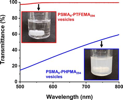 Recent Advances In PolymerizationInduced SelfAssembly PISA