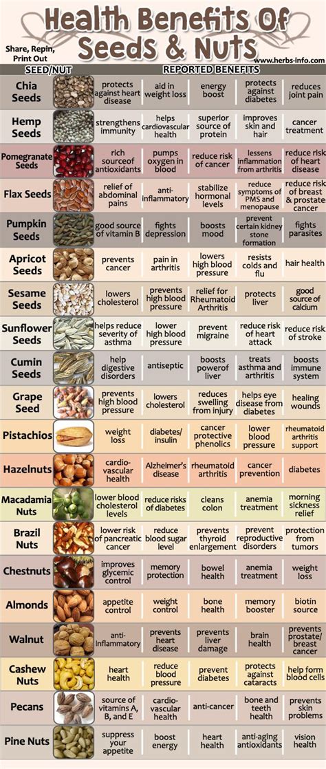 Protein Value Of Nuts And Seeds Informacionpublica Svet Gob Gt