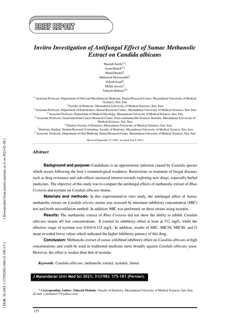 Pdf Invitro Investigation Of Antifungal Effect Of Sumac Methanolic