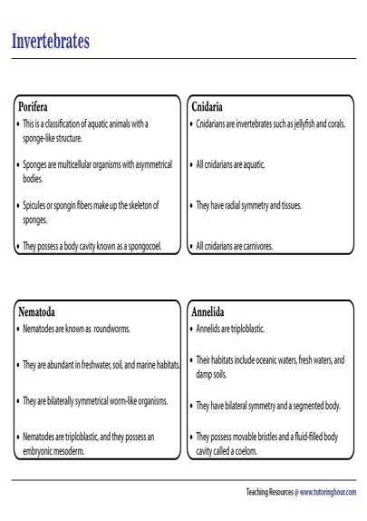 Invertebrates Chart