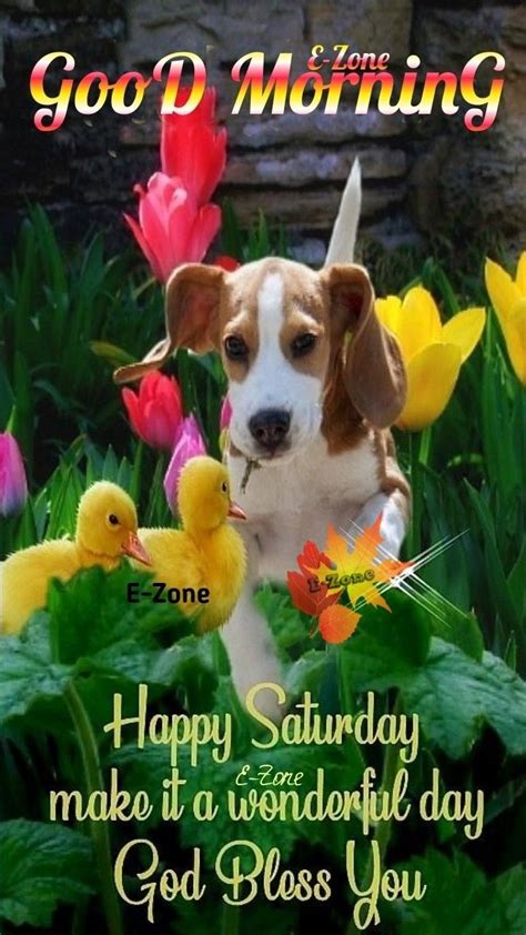 good saturday morning images  quotes