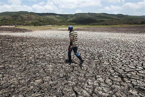 Comenzó El Fenómeno El Niño A Nivel Global Alerta Por Calor Extremo