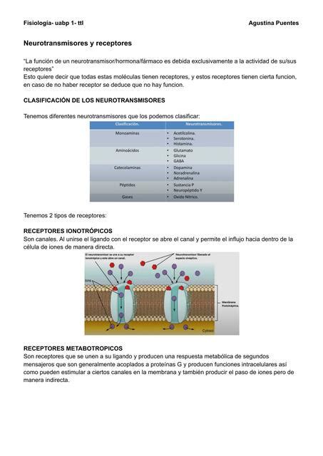 Neurotransmisores Y Receptores Agustina Puentes Udocz