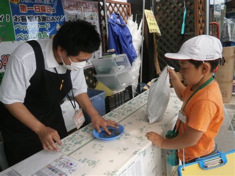 弥彦小学校 野菜の苗を買いに行ったよ。 ～2年生 生活科 村たんけん～