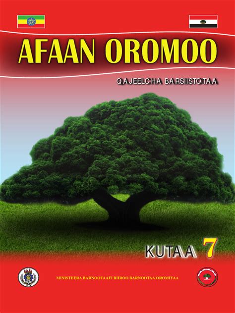 Afaan Oromoo Qajeelcha Barsiistotaa Kutaa 7 9789994425068 Pdf