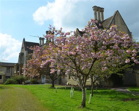 Cirencester Hospital > Glos Health & Care NHS Foundation Trust