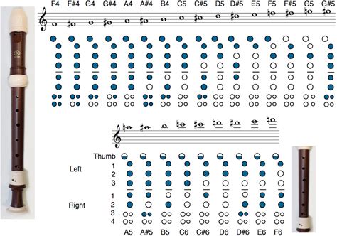 Tenor Recorder Finger Chart Printable