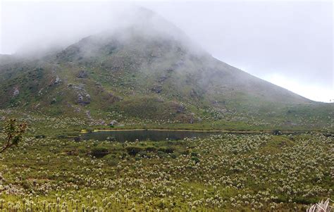 Chingaza Ecoturismo Y Naturaleza A S Lo Horas De Bogot