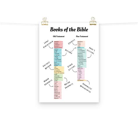 Books Of The Bible Genre Poster Print Pastel Highlighted Books Of The