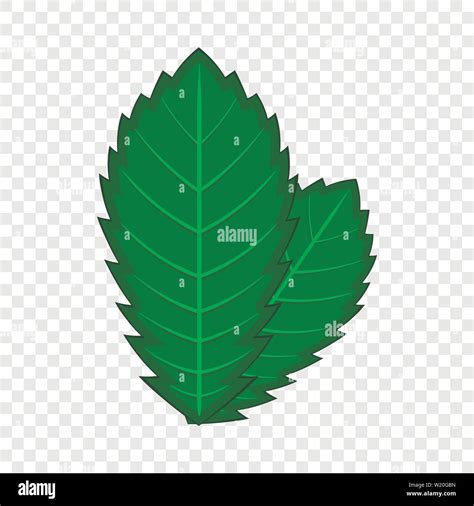 Elm Leaf Icon Cartoon Style Stock Vector Image Art Alamy