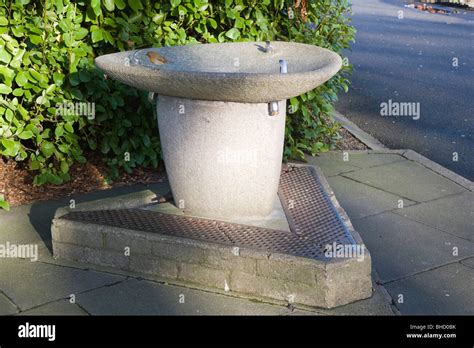 The fountain. St. Stephen's Green. Dublin. Ireland Stock Photo - Alamy