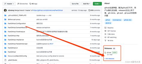 GitHub 访问不了FastGithub 一秒解决 GitHub 打不开问题 fast github网址 CSDN博客