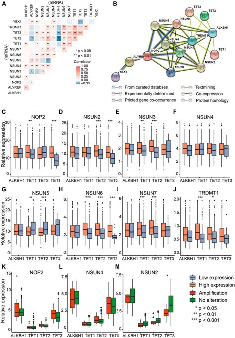 Frontiers RNA 5 Methylcytosine Regulators Contribute To Metabolism