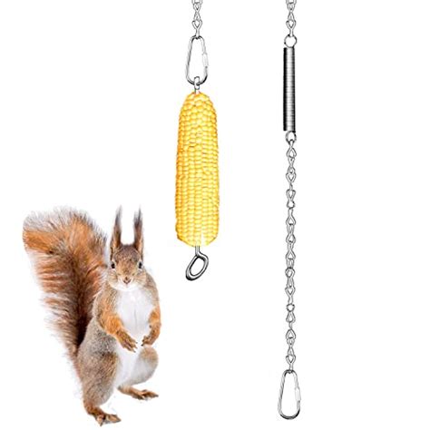 Best Corn Cob Squirrel Feeder For Your Backyard