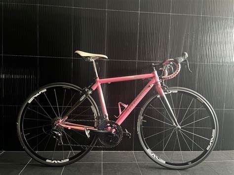 Pinky Pink Trek Trek 2200 Wsd Sports Equipment Bicycles And Parts