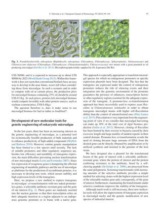 New Challenges In Microalgae Biotechnology Pdf