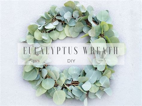 Diy Eucalyptus Wreath