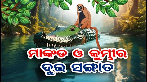 Mankada O Kumbhira Gapa Odia Moral Story