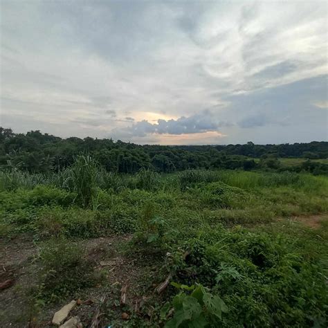 2 2 Hectares Commercial Lot For Sale Sta Maria Bulacan Along Highway