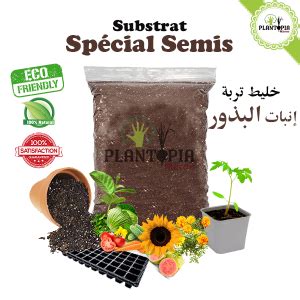 Terreau semis Maroc Terreau spécial semis bouturage repiquage BIO