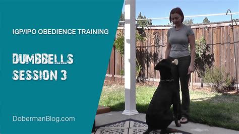 Igpipo Obedience Dumbbells Session 3 Youtube